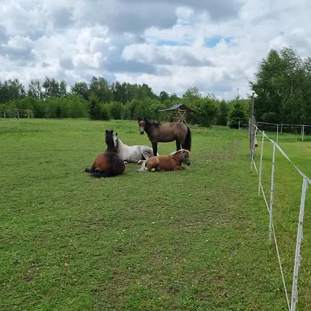 Wiejska Ferienhaus Barczewo
