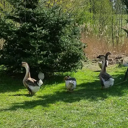 Ferienhaus Wiejska Barczewo
