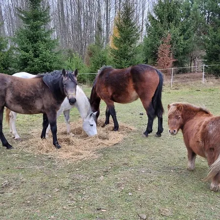 Ferienhaus Wiejska *