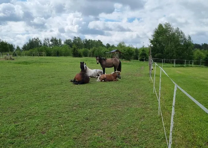 Wiejska Vakantiehuis Barczewo