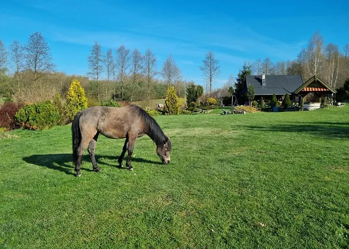 Wiejska Vakantiehuis Barczewo